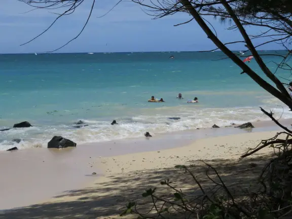 An incredibly beautiful beach with technicolor water, white sand strewn with coral, and colorful kite surfers zooming by, all framed by gorgeous mountains.