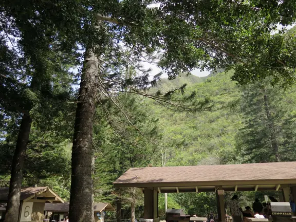 A gorgeous public garden under high mountain ridges, with dwellings representing the many cultures that are found in Maui: Portuguese, Chinese, Japanese, Filipino, Hawaiian, and New England.