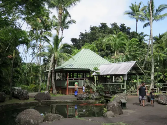 A gorgeous public garden under high mountain ridges, with dwellings representing the many cultures that are found in Maui: Portuguese, Chinese, Japanese, Filipino, Hawaiian, and New England.