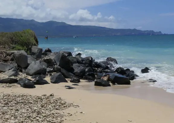 A curved beach of stunning blue-green water, lined with palm trees on one end, backed by ironwood forest, with piles of coral on the white sand, and kite surfers and mountains in the distance.