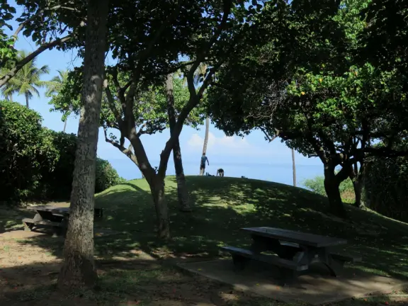 A stunning 1.5 mile path over the sea, sometimes on cliffs, sometimes in front of resorts. The southern section feels like you're in Greece!