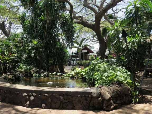 Two buildings of shaded gift stands reminiscent of the old days, plus a delicious counter-service fish market cafe.