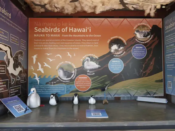 An excellent aquarium in a breezy, tropical setting at the harbor. Many interesting fish you haven't seen before!