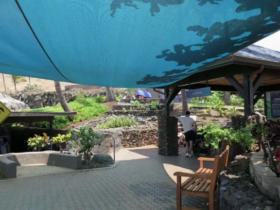 An excellent aquarium in a breezy, tropical setting at the harbor. Many interesting fish you haven't seen before!
