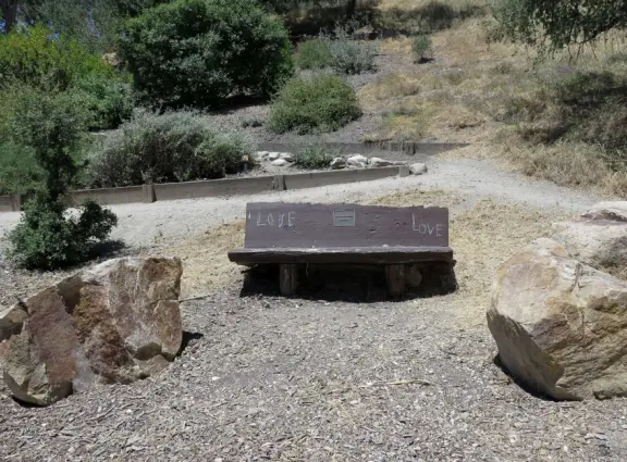 Mostly shady hike with twisty oak trees and spring flowers, and sweeping views of the town!