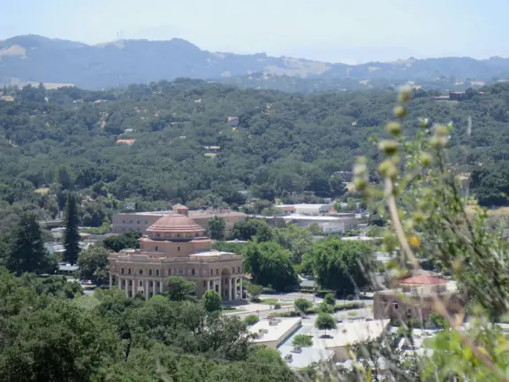 Mostly shady hike with twisty oak trees and spring flowers, and sweeping views of the town!