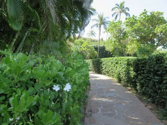 A stunning 1.5 mile path over the sea, sometimes on cliffs, sometimes in front of resorts. The southern section feels like you're in Greece!