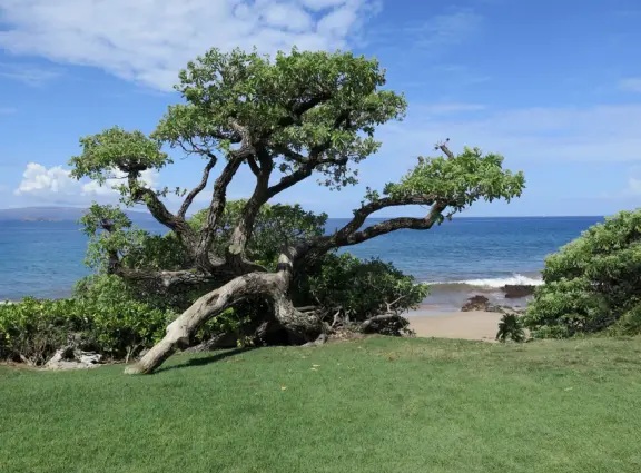 A stunning 1.5 mile path over the sea, sometimes on cliffs, sometimes in front of resorts. The southern section feels like you're in Greece!