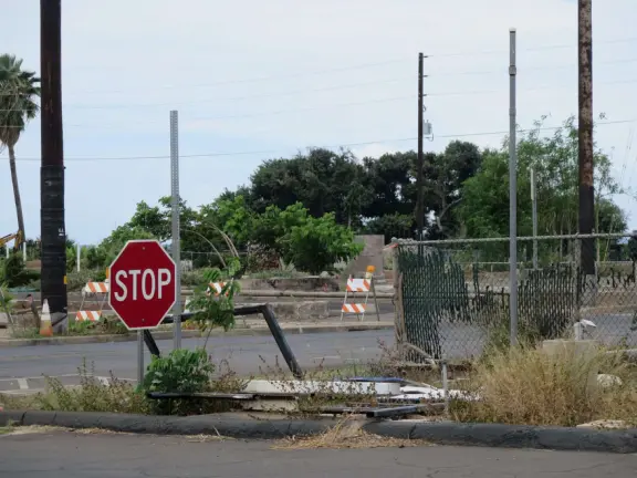 A church that miraculously survived the Lahaina fire. It's garden with mango trees and statues also survived, while beside it is rubble everywhere.