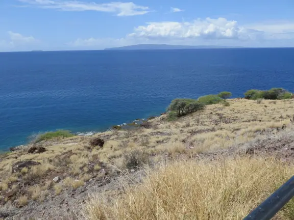 Winding road beside the deep blue ocean.