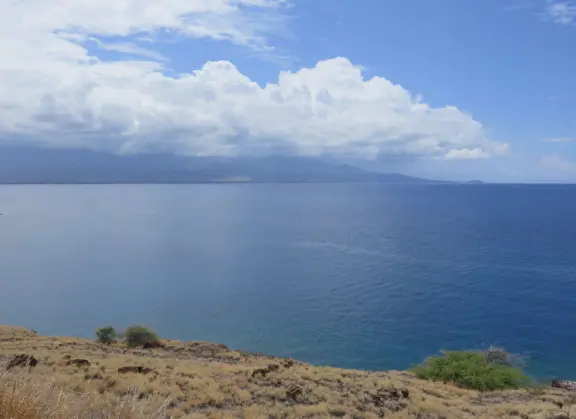 Winding road beside the deep blue ocean.