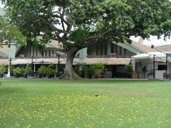 A long beach with clear water like gelatin, backed by older resorts with lovely grounds and a 2.7 mile beachfront path!