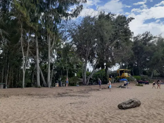A beach on a bay, with plenty of shade from ironwood trees.