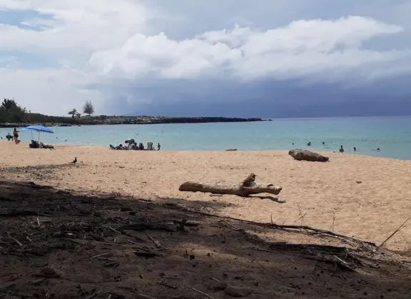 A beach on a bay, with plenty of shade from ironwood trees.