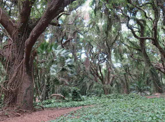 A bay with crystal clear water, high cliffs, and beach of huge pebbles. Best for snorkeling, not hanging out. Surfing in winter. Homeless encampment with dog bite warning signs.
