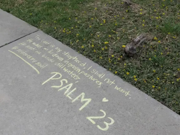 Supremely nice views from many varied vantage points. A clifftop park, beach with tide pools, and start of a long walk.