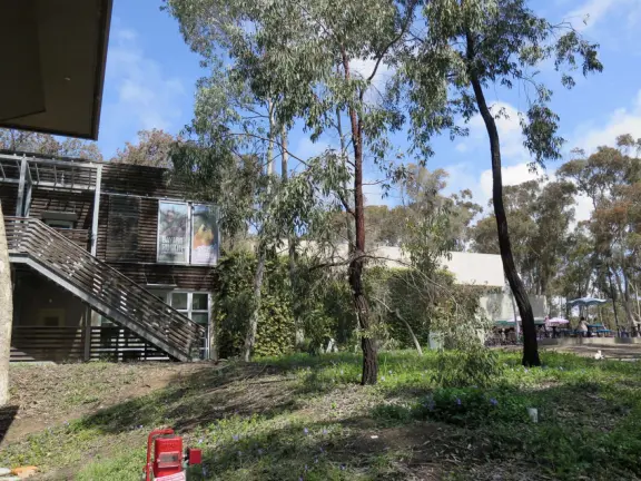 The huge UCSD campus, with stark architecture and minimal landscaping but some eucalyptus forest, near wonderful La Jolla town.