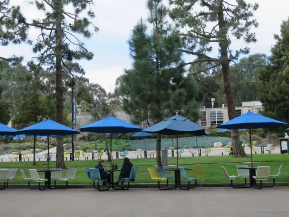 The huge UCSD campus, with stark architecture and minimal landscaping but some eucalyptus forest, near wonderful La Jolla town.