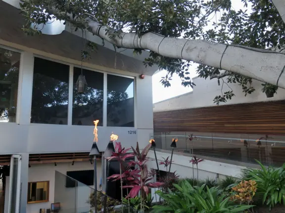 Healthy cafes, sweet Mary Star of the Sea Church, coffee shops, and walk past the amazing cliffs and coves of La Jolla.