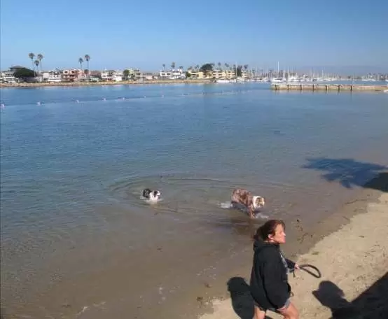 A pretty patch of sand by a boardwalk in Channel Islands Harbor.