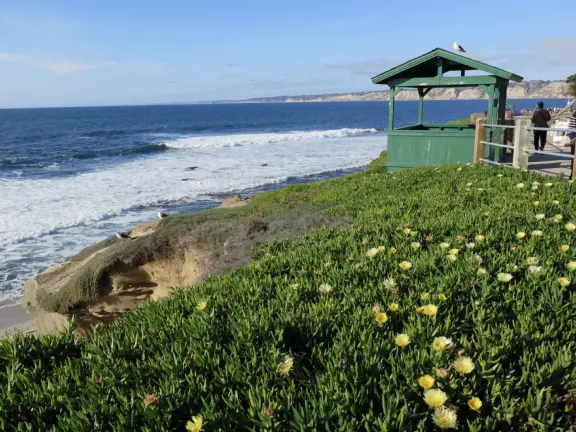Amazing place to see seals, and from Dec-May, their pups.