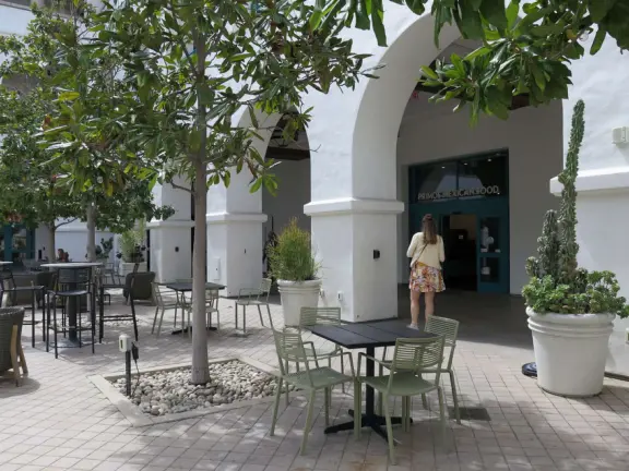Modern campus with tropical blooming trees and Spanish architecture on the northern end of campus.