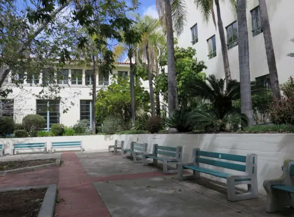 Modern campus with tropical blooming trees and Spanish architecture on the northern end of campus.