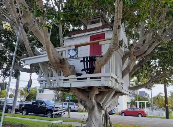 A walk among tropical trees and flowers, and the sweetest houses.