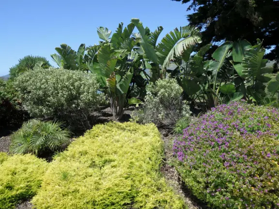 Walkway on the cliffs, in front of the resorts, that's bliss at sunset and in springtime when there are flowers galore. Take stairs down to a sheltered cove with tide pools.