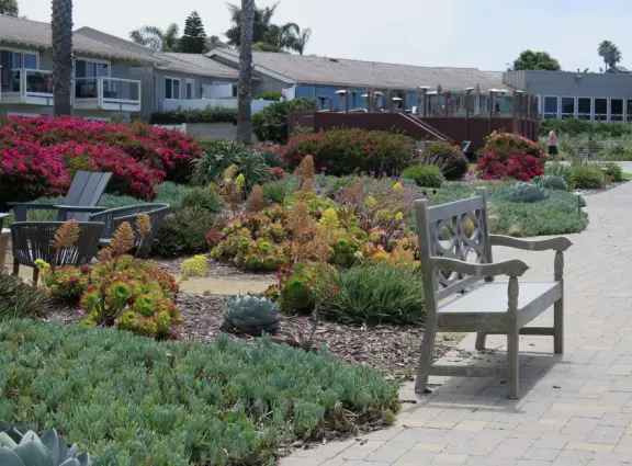 Walkway on the cliffs, in front of the resorts, that's bliss at sunset and in springtime when there are flowers galore. Take stairs down to a sheltered cove with tide pools.