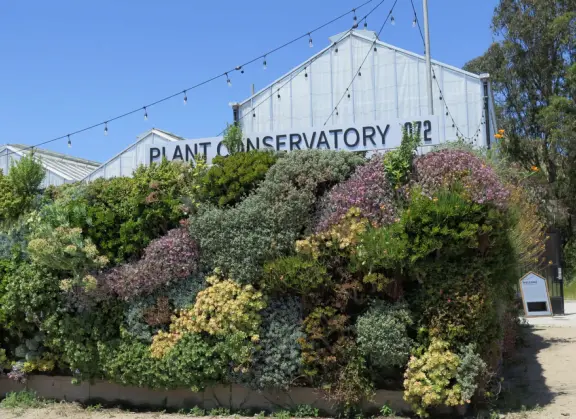 The living wall in front of the Plant Conservatory.