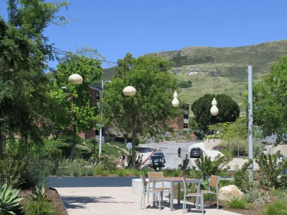 Hilly, sunny campus with tall, impressive trees and green lawns. A hands-on learning university.