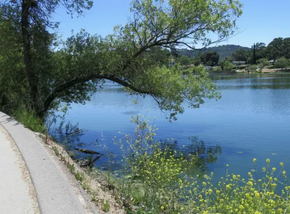 Gorgeous walk in Autumn when the leaves are yellow and red. 1.3 mile loop walk beside the lake.