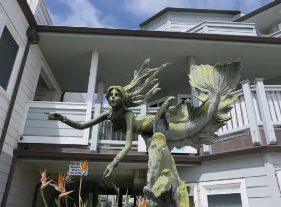 A pretty beachside town, with a wooden pier and wide windy beach with perfect views of Morro Rock, and colorful houses with gardens, backed by gently-sloping hills.