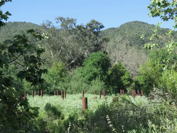 Wide partially shady path that leads through oak forest, past a market, and a Secret Garden with live music, to Avila Beach.