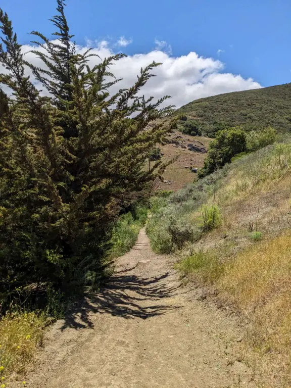 Hike with views of Cerro San Luis and Bishop Peak mountains and town, and then a tranquil valley on the other side.