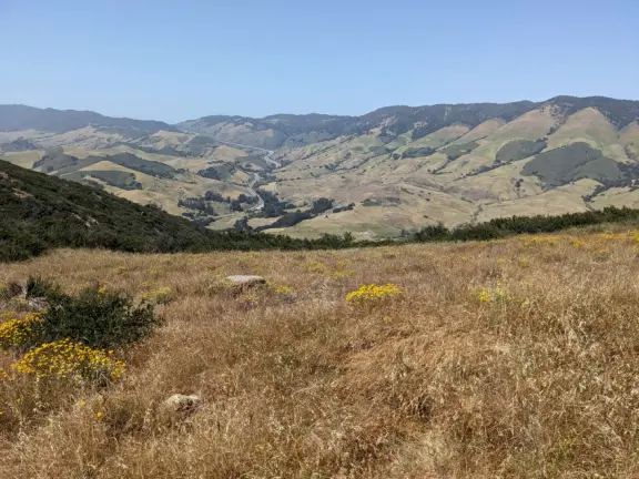 Eucalyptus and cactus forest, then amazing views over the high school toward the morros! After, a difficult, steep, rocky climb with gorgeous views of mountains and distant sea. Also called Bowden Ranch Hike.