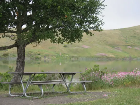 Beautiful trail slightly above the lake with sweet pea flowers in spring!