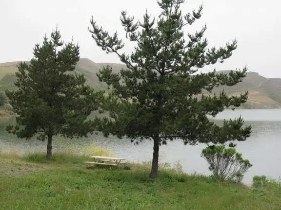 Beautiful trail slightly above the lake with sweet pea flowers in spring!