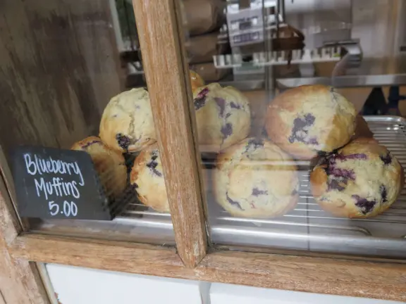 A pretty beachside town, with a wooden pier and wide windy beach with perfect views of Morro Rock, and colorful houses with gardens, backed by gently-sloping hills.