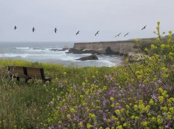 Incredible hike past sink hole, sea stacks, sea arches, with super bloom in spring.