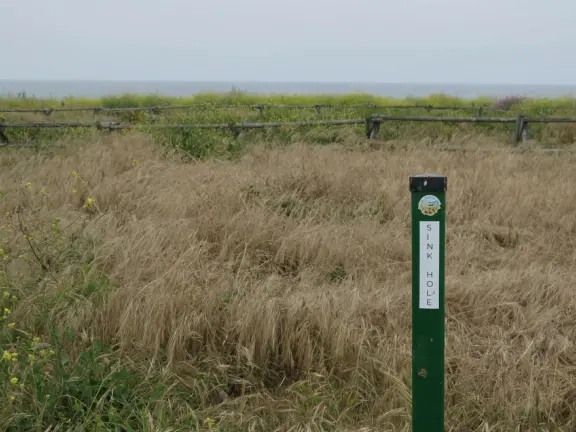 Incredible hike past sink hole, sea stacks, sea arches, with super bloom in spring.