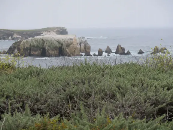 Incredible hike past sink hole, sea stacks, sea arches, with super bloom in spring.
