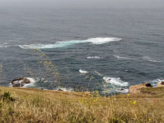 Incredible hike past sink hole, sea stacks, sea arches, with super bloom in spring.