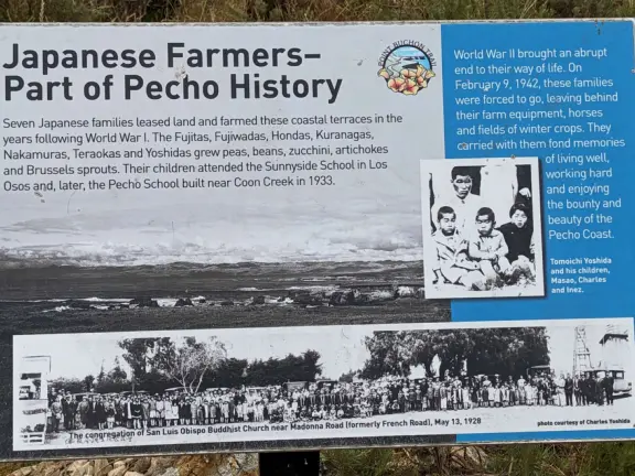 Incredible hike past sink hole, sea stacks, sea arches, with super bloom in spring.