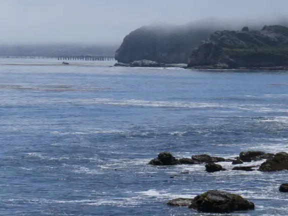 Pretty walk on a dead end road, past three ocean overlooks with sparkling water. You can extend this walk on both ends to make very long walks.