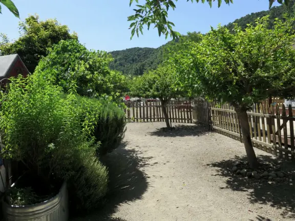 Pristine farm by a hill covered in bright foliage, with oil and vinegar tasting, honey tasting, u-pick, farm store, and adorable kids area with goats, chickens, rabbits, and colorful play areas.