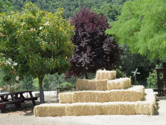 Pristine farm by a hill covered in bright foliage, with oil and vinegar tasting, honey tasting, u-pick, farm store, and adorable kids area with goats, chickens, rabbits, and colorful play areas.