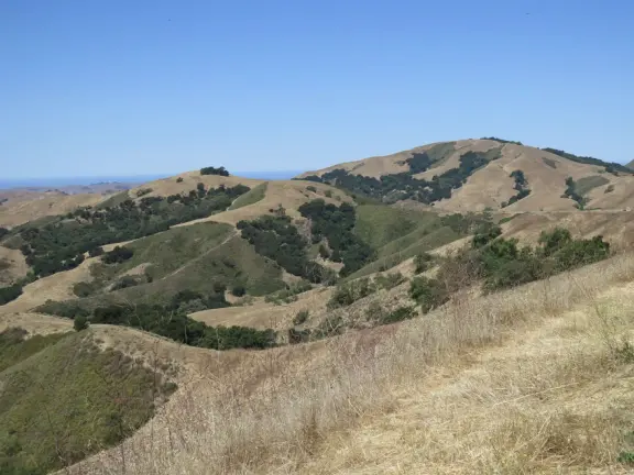 A beautiful drive above layers of hills, with views of the ocean. You pass wineries and farms to visit.