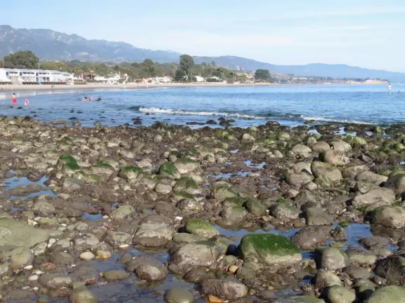 A beach that is sheltered, with good tide pools